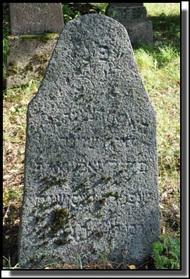 The Jewish cemetery of Dagda. September 2009