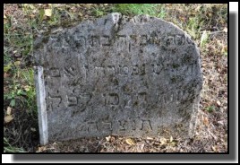 The Jewish cemetery of Dagda. September 2009