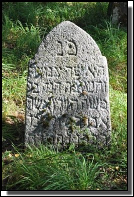 The Jewish cemetery of Dagda. September 2009