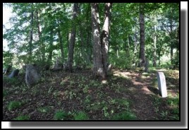 The Jewish cemetery of Dagda. September 2009