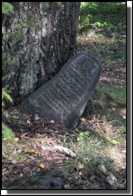 The Jewish cemetery of Dagda. September 2009