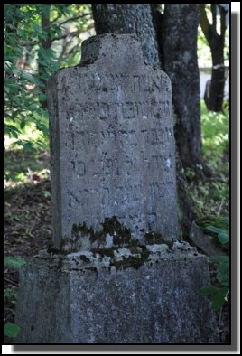 The Jewish cemetery of Dagda. September 2009