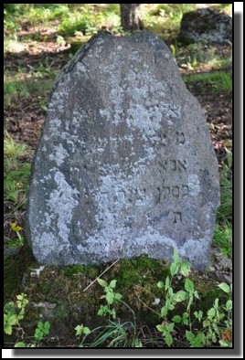 The Jewish cemetery of Dagda. September 2009