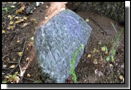 The Jewish cemetery of Dagda. September 2009