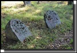 The Jewish cemetery of Dagda. September 2009