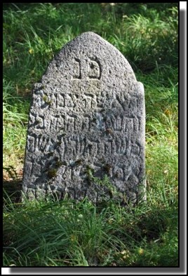 The Jewish cemetery of Dagda. September 2009