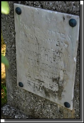 The Jewish cemetery of Dagda. September 2009