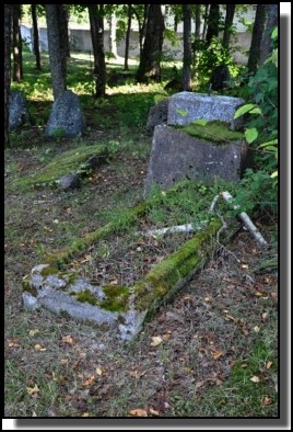 The Jewish cemetery of Dagda. September 2009