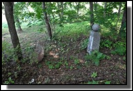 The Jewish cemetery of Dagda. September 2009