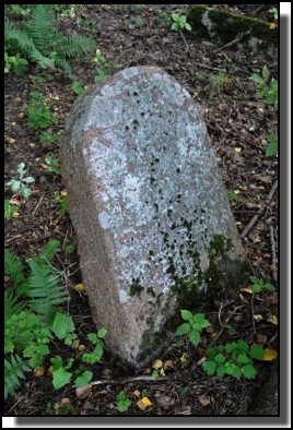 The Jewish cemetery of Dagda. September 2009