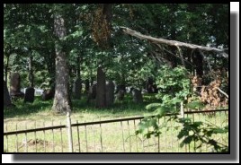 The Jewish cemetery of Dagda. September 2009