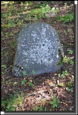 The Jewish cemetery of Dagda. September 2009