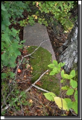 The Jewish cemetery of Dagda. September 2009