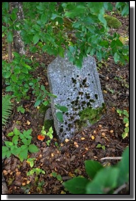 The Jewish cemetery of Dagda. September 2009