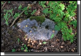 The Jewish cemetery of Dagda. September 2009