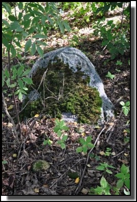 The Jewish cemetery of Dagda. September 2009