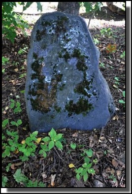 The Jewish cemetery of Dagda. September 2009