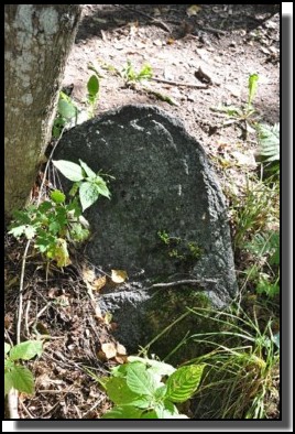 The Jewish cemetery of Dagda. September 2009