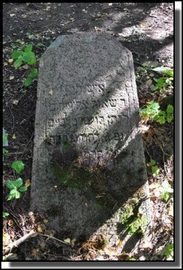 The Jewish cemetery of Dagda. September 2009