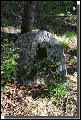 The Jewish cemetery of Dagda. September 2009