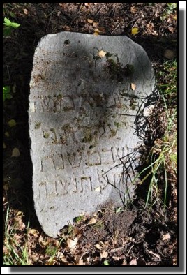 The Jewish cemetery of Dagda. September 2009