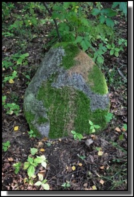 The Jewish cemetery of Dagda. September 2009