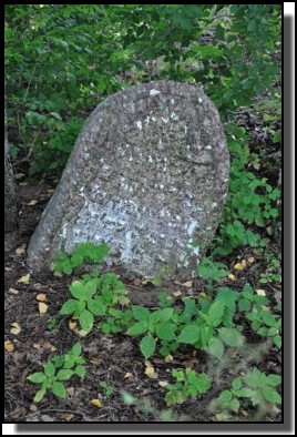 The Jewish cemetery of Dagda. September 2009