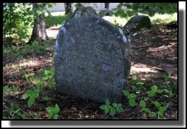 The Jewish cemetery of Dagda. September 2009