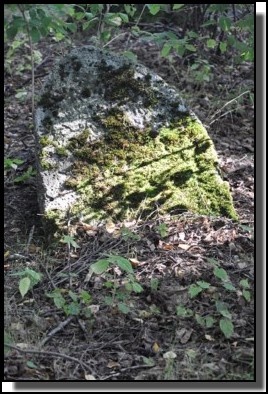 The Jewish cemetery of Dagda. September 2009