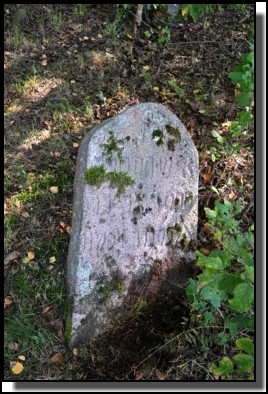 The Jewish cemetery of Dagda. September 2009