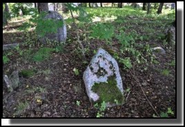 The Jewish cemetery of Dagda. September 2009