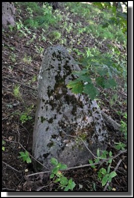 The Jewish cemetery of Dagda. September 2009