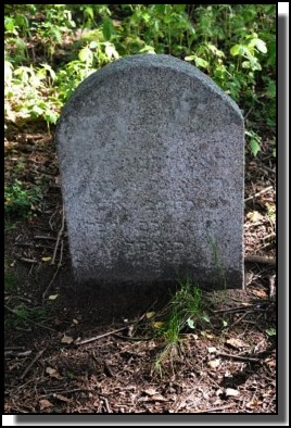 The Jewish cemetery of Dagda. September 2009