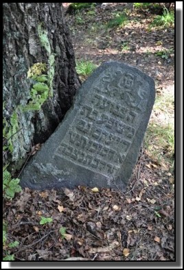 The Jewish cemetery of Dagda. September 2009