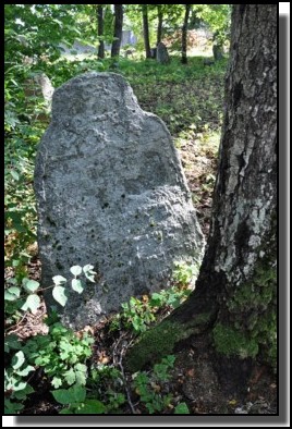 The Jewish cemetery of Dagda. September 2009