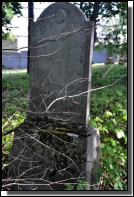 The Jewish cemetery of Dagda. September 2009