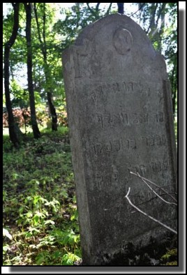 The Jewish cemetery of Dagda. September 2009