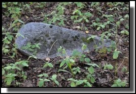 The Jewish cemetery of Dagda. September 2009