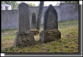 The Jewish cemetery of Dagda. September 2009