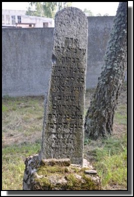 The Jewish cemetery of Dagda. September 2009