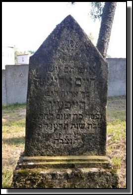 The Jewish cemetery of Dagda. September 2009