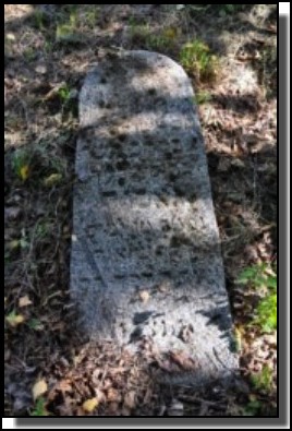 The Jewish cemetery of Dagda. September 2009