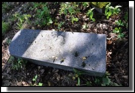 The Jewish cemetery of Dagda. September 2009