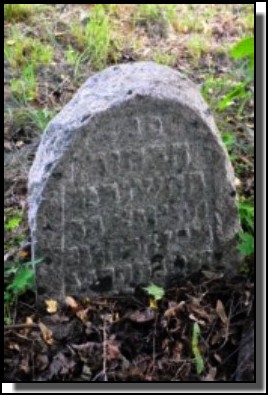 The Jewish cemetery of Dagda. September 2009