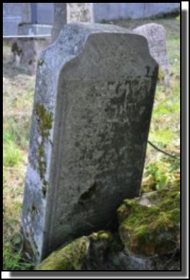 The Jewish cemetery of Dagda. September 2009