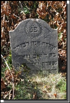 The Jewish cemetery of Dagda. September 2009