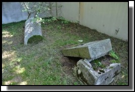 The Jewish cemetery of Dagda. September 2009