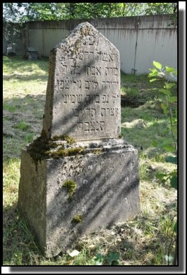 The Jewish cemetery of Dagda. September 2009