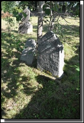 The Jewish cemetery of Dagda. September 2009