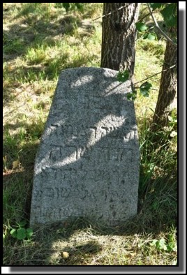 The Jewish cemetery of Dagda. September 2009